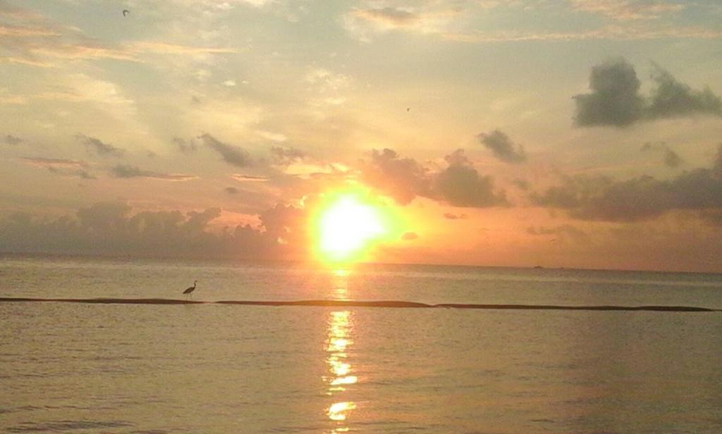 Casa Campestre Daire Cancun Dış mekan fotoğraf